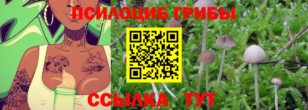 Галлюциногенные грибы MAGIC MUSHROOMS Обь